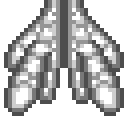 Insect Wings